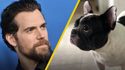 Ella es Rory, la bulldog francés fanática de 'The Witcher' que pudo conocer a Henry Cavill