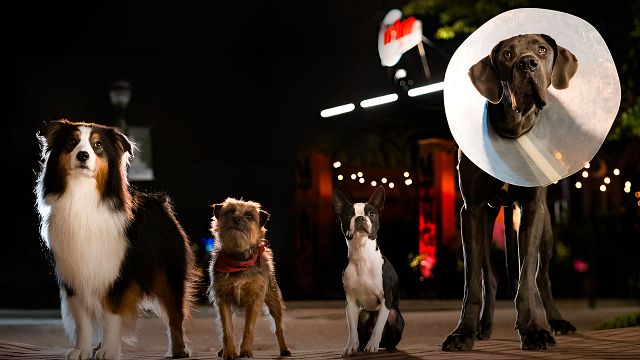 ¿Cuándo se estrena 'Hijos de perra' en Colombia? noticias imagen