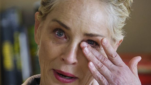 “Me levanté y le di una cachetada”: 33 años después, ¿por qué Sharon Stone tiene malos recuerdos del rodaje de esta película de culto? noticias imagen