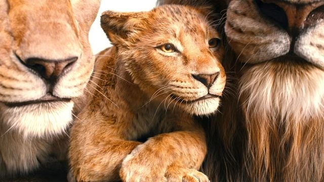 Este personaje apareció en la secuela animada de 'El rey león 2' y ahora puedes verlo en 'Mufasa: The Lion King' noticias imagen