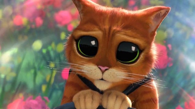 Las mejores películas con gatitos para ver en Año Nuevo noticias imagen