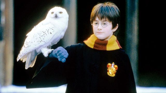¿Por qué Hedwig, la lechuza de Harry Potter muere? La respuesta de J.K. Rowling te sorprenderá noticias imagen