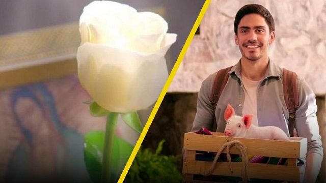 Así se ve el protagonista de 'El Niñero' actuando en 'La Rosa de Guadalupe' noticias imagen