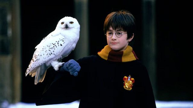 Hay una versión de 3 horas de 'Harry Potter y la Piedra Filosofal' que disminuiría aún más los motivos para un remake noticias imagen