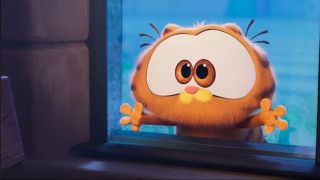 'Garfield: fuera de casa': Este es el gato gigante que podría ser Garfield en la vida real noticias imagen