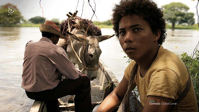 Es una de las mejores películas colombianas, dura más de 2 horas y necesitas verla hoy mismo noticias imagen