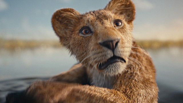 Ya tiene fecha en Colombia: Esta película de Disney llegará muy pronto a streaming noticias imagen