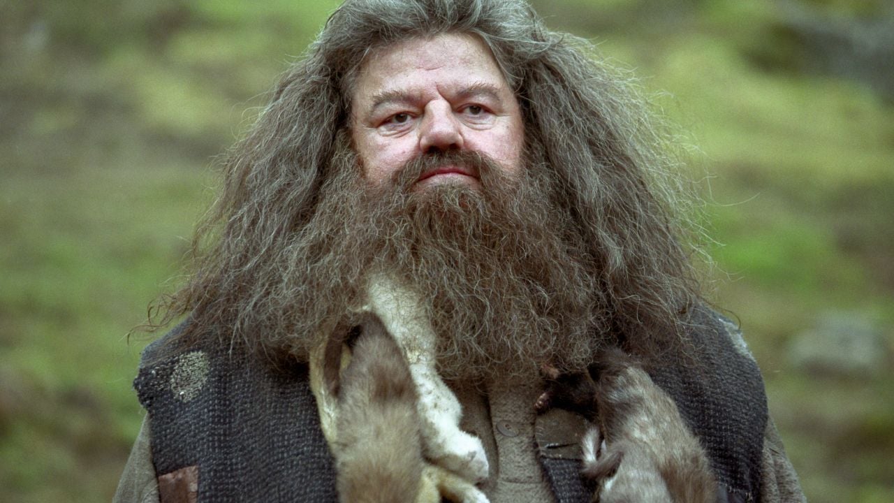 Rubeus Hagrid es uno de los personajes más importantes de la saga de 'Harry Potter'