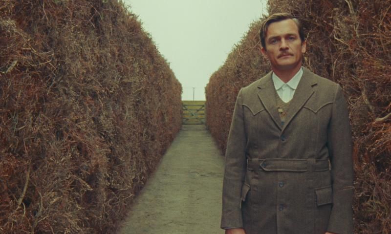 'El Cisne' de Wes Anderson