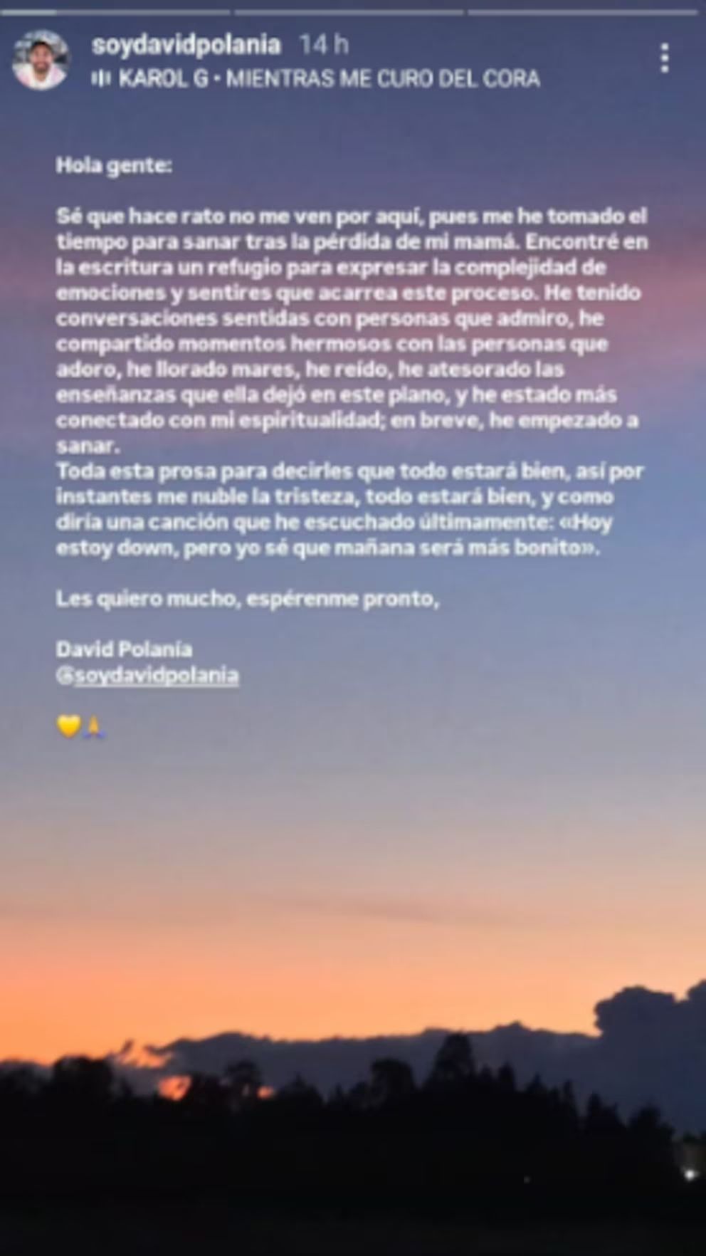 David Polilla detalla sus emociones en Instagram