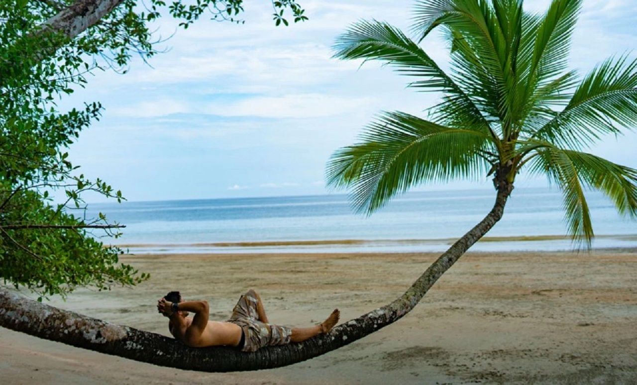 islagorgona.co